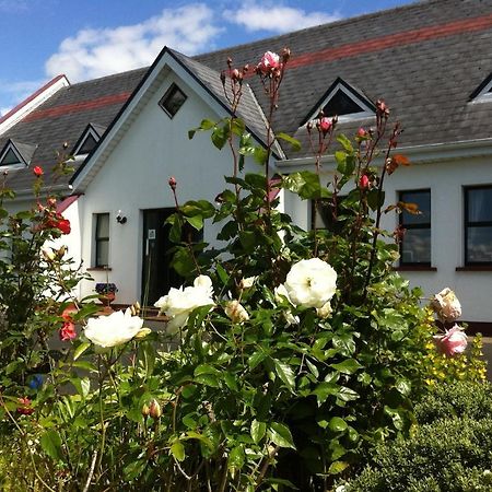 Coonagh Lodge B&B Limerick Junction Exteriér fotografie